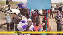 3.6 million people face severe food shortages in S.Sudan- UN