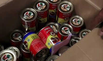 BPOM Curigai Ada "Booming" Cacing di Ikan Makarel