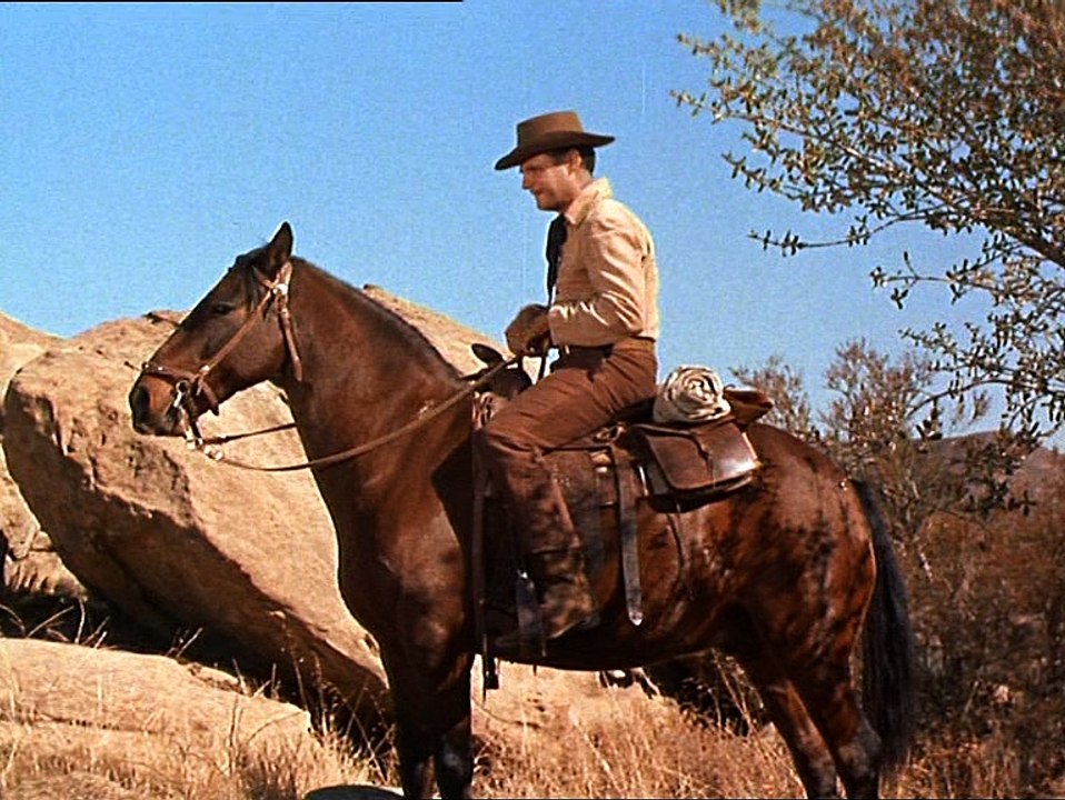 S02E21 - Als Mr. Twilight starb