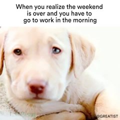 When you realize the weekend is over and you have to go to work in the morning