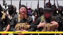 Top Islamic State commander, Omar al-Shishani killed in Iraq