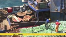 Illegal fishing 'killing' livelihoods across in West Africa