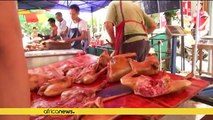 China celebrates dog meat festival in Yulin