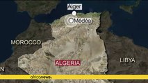 5.3 magnitude earthquake injures 28 people in Algeria's Medea