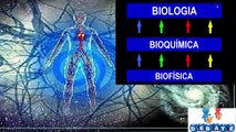 Medicina Quântica - Explicando com Imagens de maneira Fácil