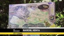 Activists protest alleged plan by developers to grab Kenyan forest land