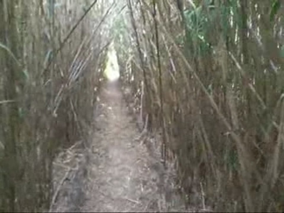 Vacances Hyères (83) été 2007