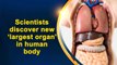 Big News: Scientists discover new ‘largest organ’ in human body | Oneindia News