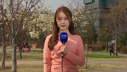 [날씨] 쾌청한 하늘, 따뜻...주말 나들이 좋아요 / YTN