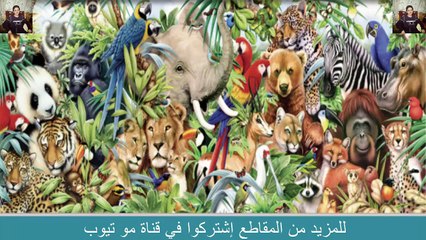 شاهد الفيديوأغرب 10 معلومات عن عالم الحيوان