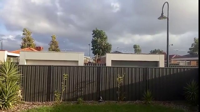 Effrayant : des milliers d'oiseaux au-dessus de ces maisons !