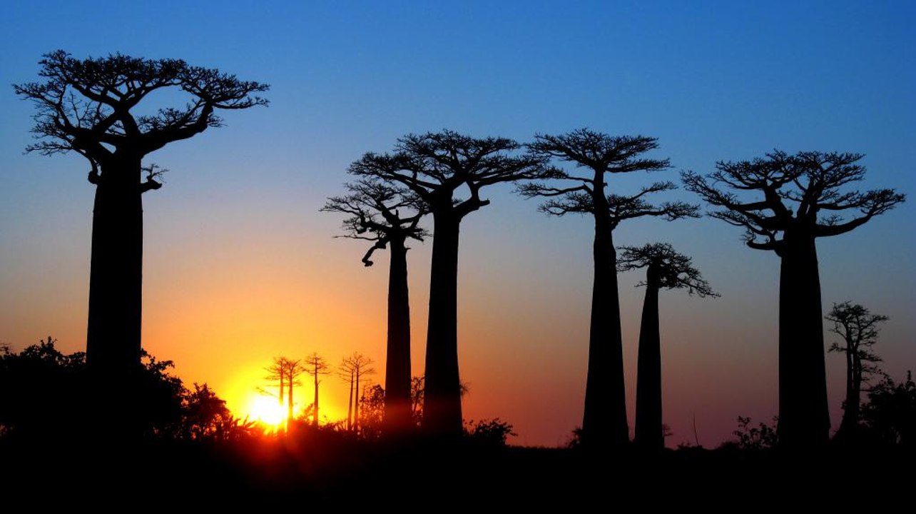 L'Île de Madagascar