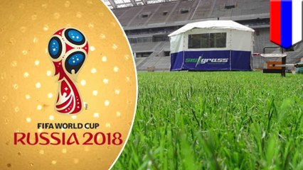 Artificial turf to be used at 2018 FIFA World Cup in Russia - TomoNews