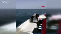 Antalya'da tekneye yunuslar eşlik etti