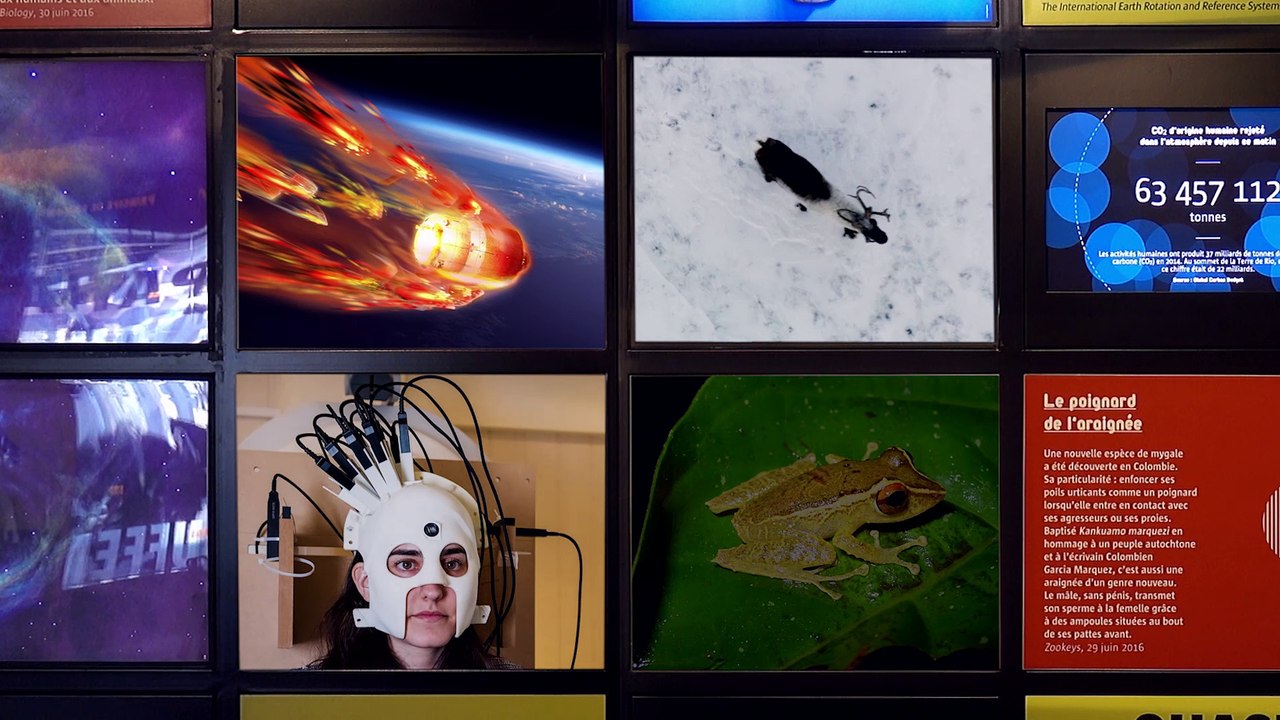 Grenouilles résistantes