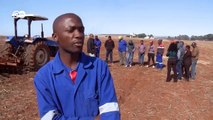 Südafrika: Trotz Landreform dominieren weiße Farmer | Wirtschaft