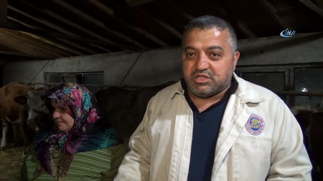 Ahırda dans eden çift, izlenme rekoru kıran videonun hikayesini anlattı