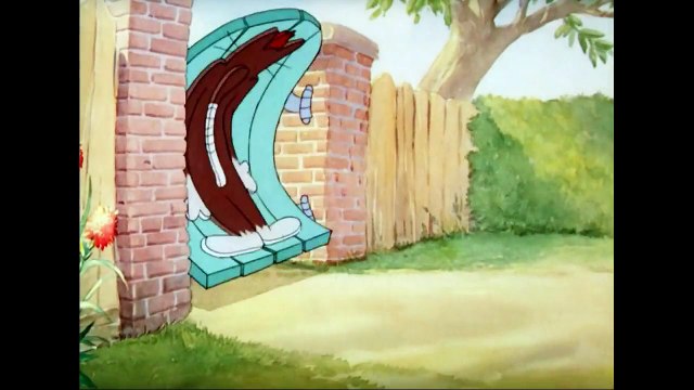 Tom and Jerry Cartoon- Sufferin' Cats