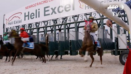 Course de chevaux à Erbil, capitale du Kurdistan irakien