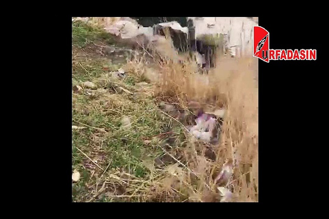 Urfa’da Doğum Günü Selfiesi Çekerken Düşüp Öldü