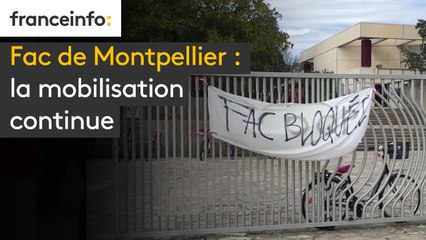 Fac  de  Montpellier : la mobilisation continue
