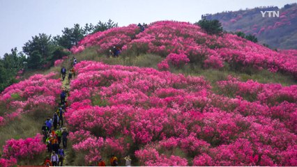 [통통영상] 오늘의 한 컷 / YTN
