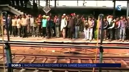 Merci le gars!