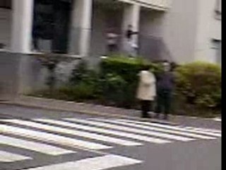 Becanes aux Chênes