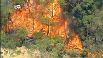 Buschbrände in Australien außer Kontrolle | Journal