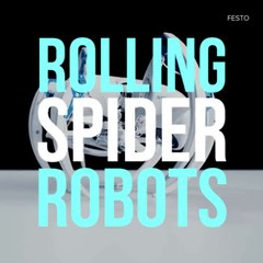Watch this creepy robotic spider turn into a rolling ball