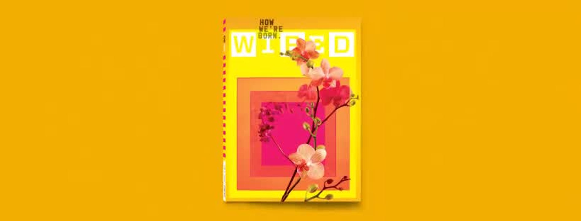 26.04 | Life Issue