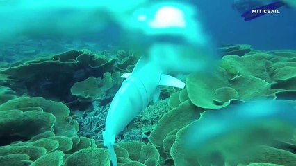 Watch MITs Hypnotic Robot Fish Swim a Coral Reef