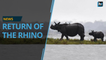 One-horned rhino census 2018 shows Indian rhino populations are growing