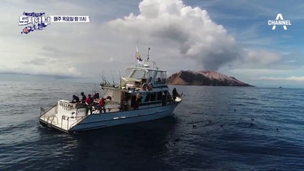 [도시어부 in 뉴질랜드 4탄] 넘실넘실 뉴질랜드 바닷속, 그 안엔 빅피쉬 있나-?