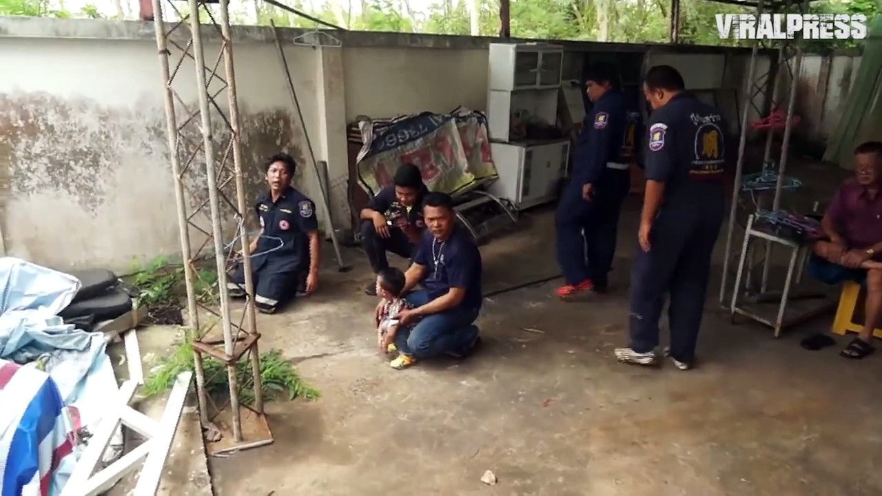 Python Regurgitating Monitor Lizard video Dailymotion