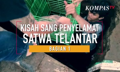 Doni Herdaru, Sang Penyelamat Ribuan Satwa Telantar (Bag. 1)