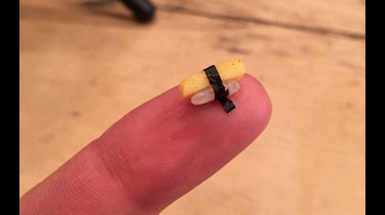 Les plus petits sushis du monde tiennent sur un seul grain de riz