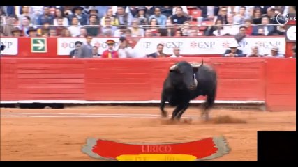 Roca Rey. México 05.02.2018 Primer toro SE ENOJA CON ALGUNOS AFICIONADOS POR PITARLE.