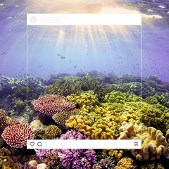 TBWA\Paris pour WWF - « #TooLatergram » - Mars 2018