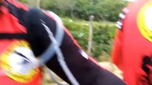 Une araignée géante se promène sur un cycliste