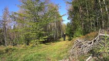 Some clips of G-Force instructor Andreas Jimmy MTB in the forest.