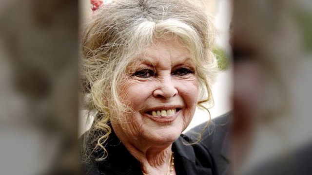 La nouvelle lettre assassine de Brigitte Bardot à Nicolas Hulot