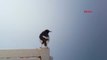 Antalya Çöl Kuşu Keşiş Kuyrukkakanı Antalya'da Görüntülendi