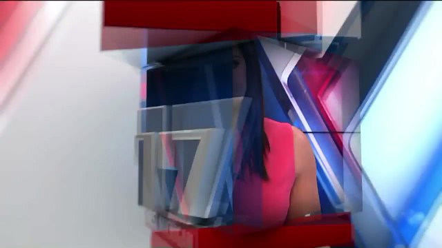 At Least 30 Dogs Killed in Boarding Kennel Fire in Michigan