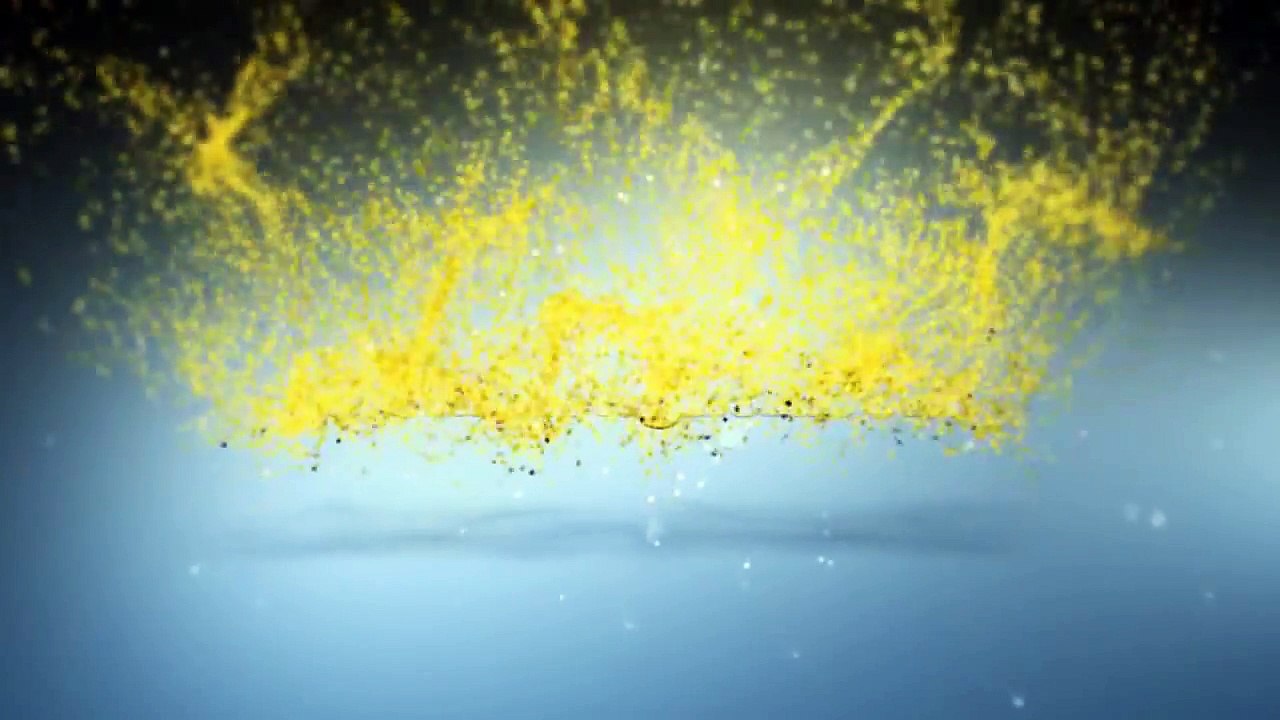 Negotiating a Better Price - Business English Lesson