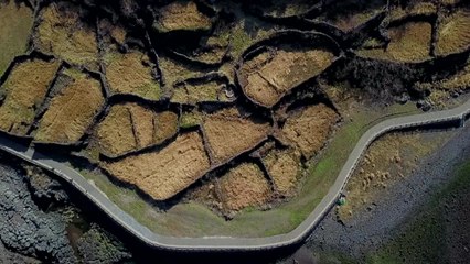 4.3 초토화 작전으로 사라진 마을..."실태조사 필요" / YTN