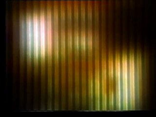 Bill Viola - Migration, for Jack Nelson (1976)