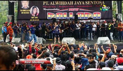 DALAN ANYAR- WIWIK SAGITA NEW PALLAPA