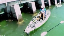 Ce pecheur en kayak va attraper le poisson de sa vie mais pas facile de le remonter à bord: : mérou géant