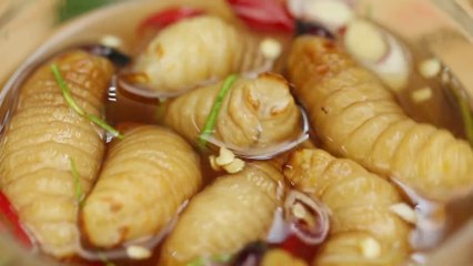 Une petite sauce thaï aux asticots... Miam miam